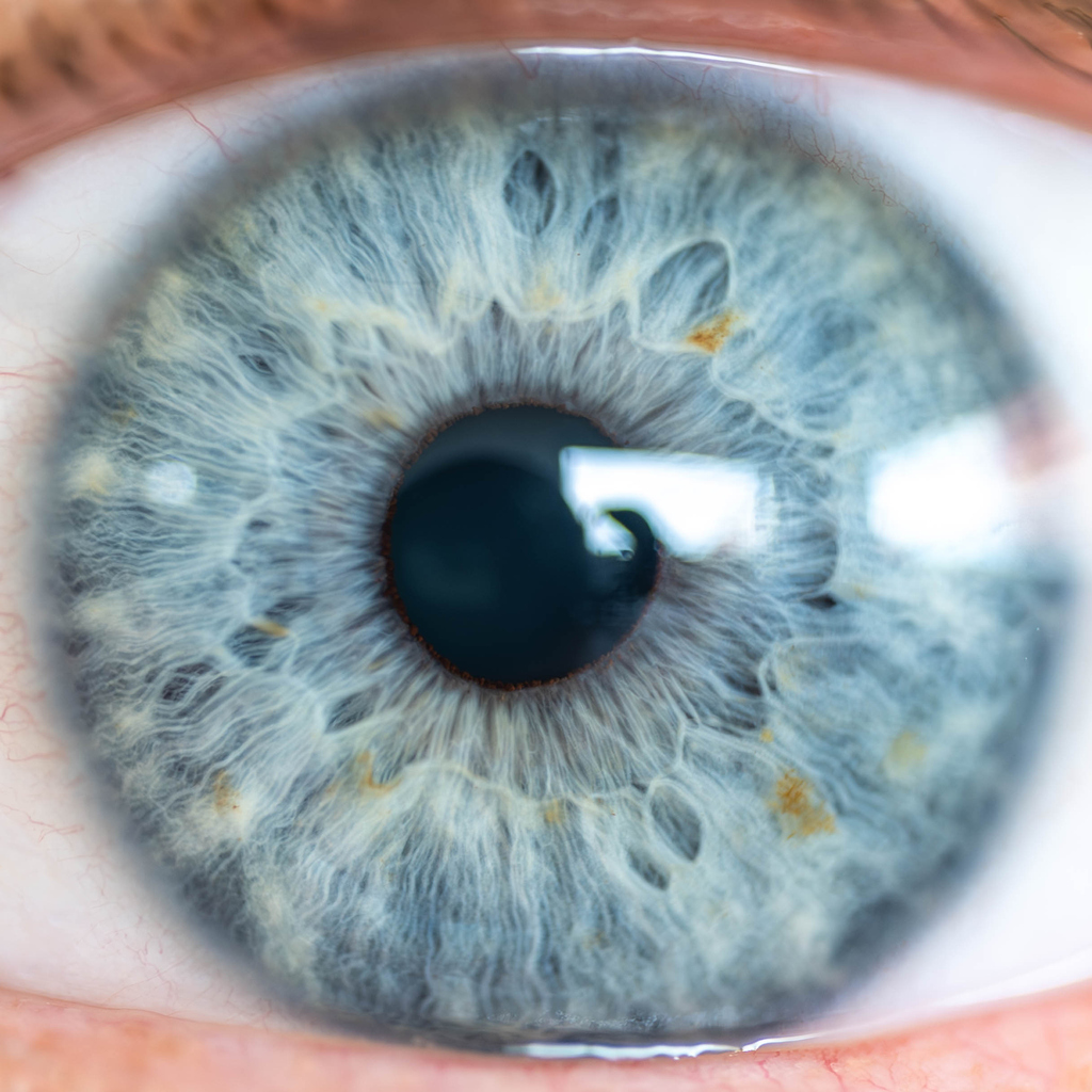 Description: Male Blue Colored Eye with Yellow Pigment Spots and Lashes. Pupil Opened. Close Up. Structural Anatomy. Human Iris Macro Detail.